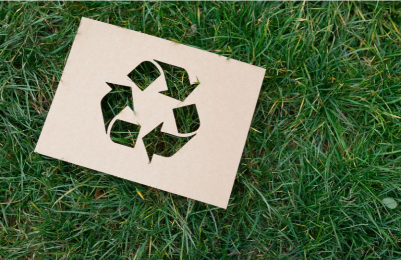 The Environmental Impact of Direct Mail: Myths and Facts